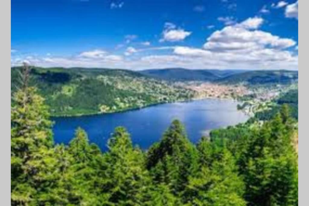 Superbe Appartement, Hypercentre Au Calme Avec Bain Balneo Gérardmer Exterior foto